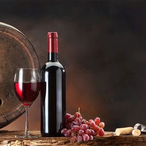 Hlavní myšlenkou vinného koštu je nabídnout lidem snoubení gastronomie s vínem a zanechat v nich unikátní zážitek, jenž bude...