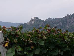 Jednou z dominant oblasti je vesnice Dürnstein, nad kterou se tyí zícenina hradu. Nicmén práv tato obec patí spíše k tomu ”komernjšímu”, typický charakter regionu nalezneme v tch menších pilehlých.