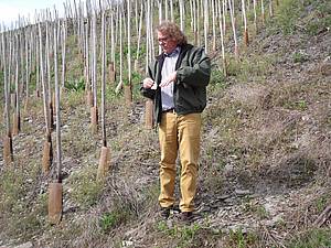 Všudepøítomná bøidlice, zdejší typické podloží, které dává ryzlinkùm z vinic v okolí Bernkastelu velmi typickou mineralitu. Ernst Loosen vysvìtluje, jak to zde s pùdou funguje.