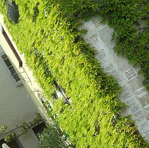 V jedn&eacute; vesni�ce b�hem p�esunu m&iacute;j&iacute;me zdej&scaron;&iacute; vodo�et. Mnoho z&aacute;�ez� na tomto prav&iacute;tku zna�&iacute;, �e s velkou vodou zde bojuj&iacute; opravdu �asto.