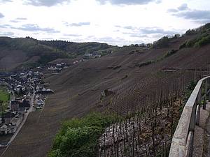 Stejn� jako p�i p�edchoz&iacute; zast&aacute;vce zde plat&iacute;, �e vinice se jmenuje podle lok&aacute;ln&iacute;ch podm&iacute;nek. Tato le�&iacute; v kopc&iacute;ch nad vesni�kou &Uuml;rzig. I odtud poch&aacute;z&iacute; n�kter&aacute; v&iacute;na z vina�stv&iacute; Dr. Loosen.