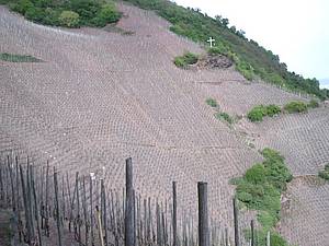 Starat se o takto strm&eacute; vinice je pr&aacute;ce pro kaskad&eacute;ry, a to doslova. P�&iacute;stup do n�kter&yacute;ch parti&iacute; vy�aduje velkou zru�nost, zku&scaron;enost a fyzick&eacute; schopnosti, kter&eacute; nem&aacute; zdaleka ka�d&yacute;. Pr&yacute; se ji� testuje i sb�r hrozn� za pomoci dron�, kter&eacute; by na t�ch extr&eacute;mn&iacute;ch m&iacute;stech sn&iacute;�ily riziko lidsk&eacute; pr&aacute;ce.