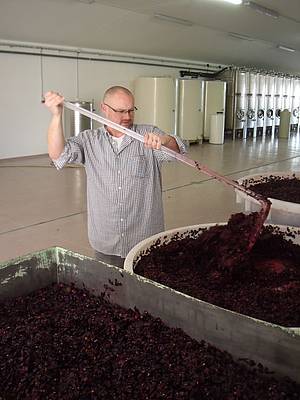 Vinárník v akci. Zápas s matolinovými klobouky není ádná sranda, ale kus opravdu fyzicky nároné práce. A kdy ješt pipoteme nkolik tisíc octomilek, které se zvednou ve chvíli, kdy se lovk piblíí...