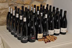 Zdá se, e nás eká degustace ervených vín, kterým dominuje jednoznan odrda Syrah.