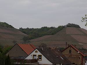 Opravdu to dnes nevypadá na pkné poasí a pkné focení. Doufám, e budeme mít aspo bhem dne více štstí na trochu slunce.