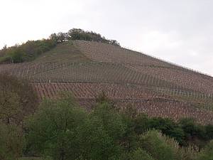 I vinaství Dönnhoff, kam se dnes chystáme, nemá zrovna nejpístupnjší vinice, nicmén pi srovnání s nkterými ”kopci” kolem Mosely i ve Wachau to zas taková hrza není.