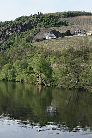 A na cestu se nám náhle jaksi rozjasnilo. Snad je to píslib hezího poasí pro odpolední putování dalšími nmeckými vinicemi.