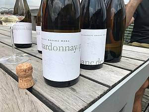 Chardonnay by se dalo pokládat za vlajkovou lo vinaství Krásná hora, minimáln pro mne urit. Asi je to dáno i tím, e tato typická francouzská odrda si dobe lahodí s uritým francouzským zpsobem pístupu. Velmi krásná a elegantní je kombinace Chardonnay s Rulandou bílou, kdy ob odrdy byly vinofikovány zvláš a prošly si jak nerezem, tak dubovým sudem.