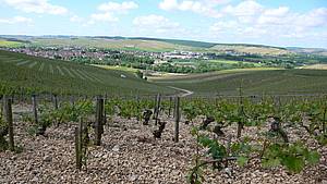 Je ve vinaském svt nkolik pojm, které zná snad opravdu kadý. Jedním z nich je bezpen slovo Chablis, se kterým si neoddliteln spojujeme elegantní suchá bílá vína z francouzské oblasti Bourgogne.
