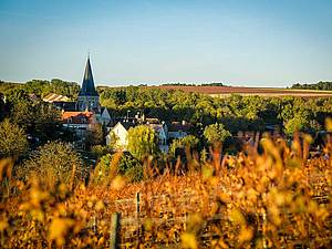 Historie vinaství v tomto krásném kout svta, ve francouzském Burgundsku, sahá opravdu do dávných as.