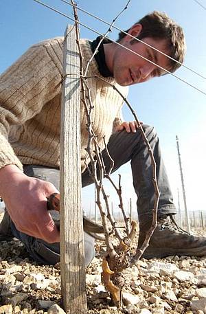 V roce 2005 se k rodim pipojil syn Guilhem a jeho ena Marie, kteí mají oba velmi podobné smýšlení, o em svdí i to, e dovedli vinice v biodynamickém reimu k certifikaci Demeter.