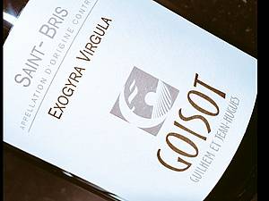 Pro Burgundsko to není práv typické, nicmén nkterá bílá vína pochází z odrdy Sauvignon. Jedná se o vína komplexní, jejich aromatika rozhodn není pehnan sauvignonov vlezlá.
