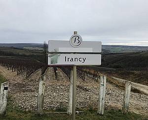 A za pozornost stojí, e rodina Goisot vlastní jednu z nejstarších vinic práv odrdy Pinot Noir v celé Francii, a to zde v apelaci Irancy.