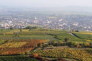 Ten pøíbìh z hlediska vinaøství Bründlmayer zaèíná již roku 1581, od kdy se datuje vznik tohoto rodinného vinaøství. Za takto dlouhou dobu generace vinaøù pochopili zdejší podmínky, zdejší klima a nauèili se s tìmito charaktery pracovat.