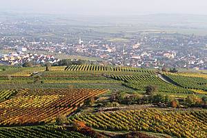 Ten píbh z hlediska vinaství Bründlmayer zaíná ji roku 1581, od kdy se datuje vznik tohoto rodinného vinaství. Za takto dlouhou dobu generace vina pochopili zdejší podmínky, zdejší klima a nauili se s tmito charaktery pracovat.