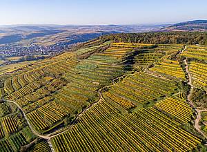 Sám Willi Bründlmayer vstoupil do vinaského svta velmi výrazným zpsobem, kdy v roce 1985 pivedl na svt Chardonnay, které bylo na Vinitaly ve Veron vyhodnoceno jako nejlepší víno burgundské odrdy tohoto roníku na svt.