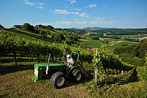 Vinastv Neumeister se nachz v msteku Straden v rakouskm regionu Vulkanland-Steiermark. Hospoda na zhruba 30 hektarech vinic, na kterch pstuje hrozny pedevm pro bl vna.