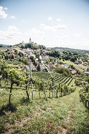 Straden se nachz v regionu Vulkanland-Steiermark na jihovchod Rakouska, ktermu dominuje velmi specifick illyriansk - panonsk mikroklima. To stoj za idelnmi podmkami pro pstovn blch vn. Jednodue eeno: tepl dny a chladn noci.