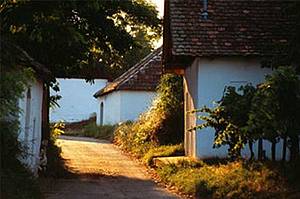 Souástí vinaské obce Pillersdorf je i zdejší ulika vinaských sklep. Je velmi pvabná a klidná, je povaována za jednu z nejmalebnjších v celé vinaské oblasti Weinviertel.