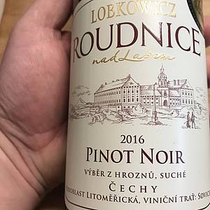 Mým jednoznaným tipem a favoritem je však Pinot noir z roku 2016 - úasn strukturované ervené víno, které si zaslouí as v jeho vychutnávání a kadou sklenikou nabídne nový zajímavý názor.