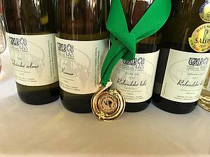 Svdí o tom mimo jiné i fakt, e vína z eské zemdlské univerzity dosahují velkých úspch - a je to teba zastoupení v Salonu vín eské republiky, nebo zlatá medaile zde z Vinaských Litomic.