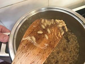 Když se podíváme, jednotlivá zrníčka již nejsou obklopena jen nějakou vodou, ale pojí je tekutina hutnější šlemovité struktury.