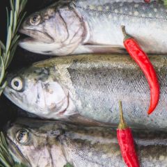 V esk ryb restauraci se pracuje pouze s erstvmi sladkovodnmi rybami jako je pstruh, siven, kapr, sumec, jeseter, amur i candt. Kvalitn ryb gastronomie, ale i pokrmy mezinrodn kuchyn i...
