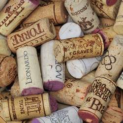 Obèas mùžeme mezi znalci zaslechnout debatu o tom, zda to konkrétní víno ”má korek” nebo rovnou striktní tvrzení ”to víno je...