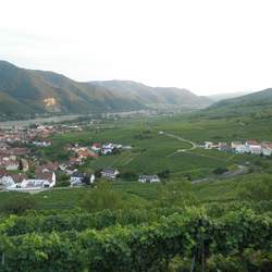 Jsme v Rakousku na Dunaji. A to konkrétn západn od Vídn. Jedná se o pomrn malý region zhruba mezi msty Krems a Melk, tedy pokud se bavíme o...